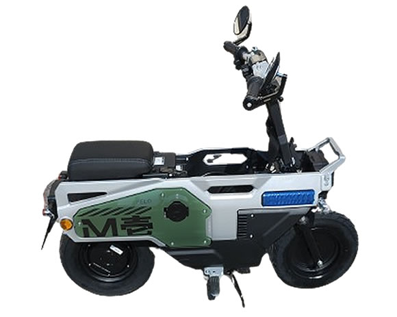 【サービス品@1480】ハナモモ(2頭) サービス品@1480】ハナモモ(2頭)